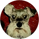 PERRI D'ANGELO PERRI D'ANGELO