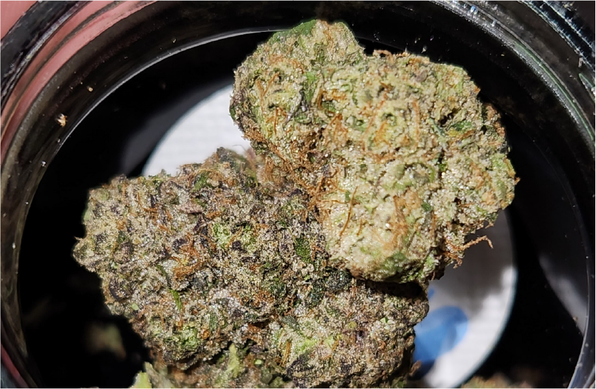Xclusive Cannabis Dispensary